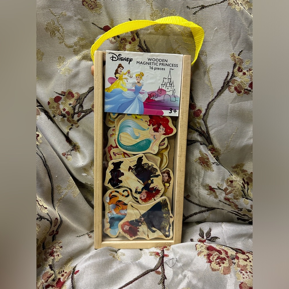 Walt Disney Princess Wooden Magnets in Carrying Case
